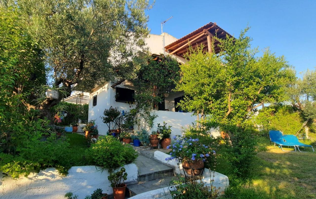 Sonia'S House With Garden Villa Gerakini Exterior foto