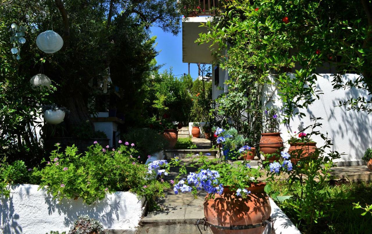 Sonia'S House With Garden Villa Gerakini Exterior foto